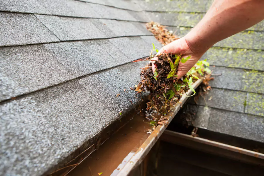Professional gutter cleaning in Pensacola