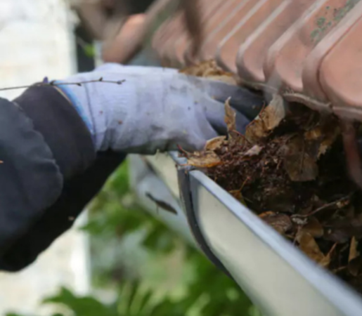 Gutter Cleaning in Pace, FL