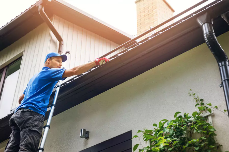 Gutter Cleaning